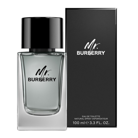 BURBERRY Mr. Burberry EDT 100ml