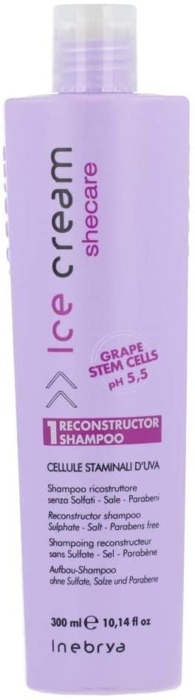 INEBRYA Ice Cream Shecare Reconstruction Shampoo 300ml