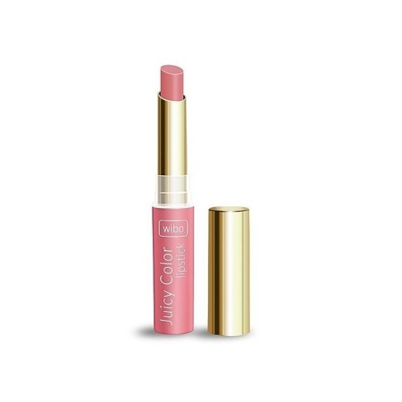 Wibo Juicy Color Lipstick 2 2.5ml