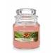 Yankee Candle The Last Paradise 104g